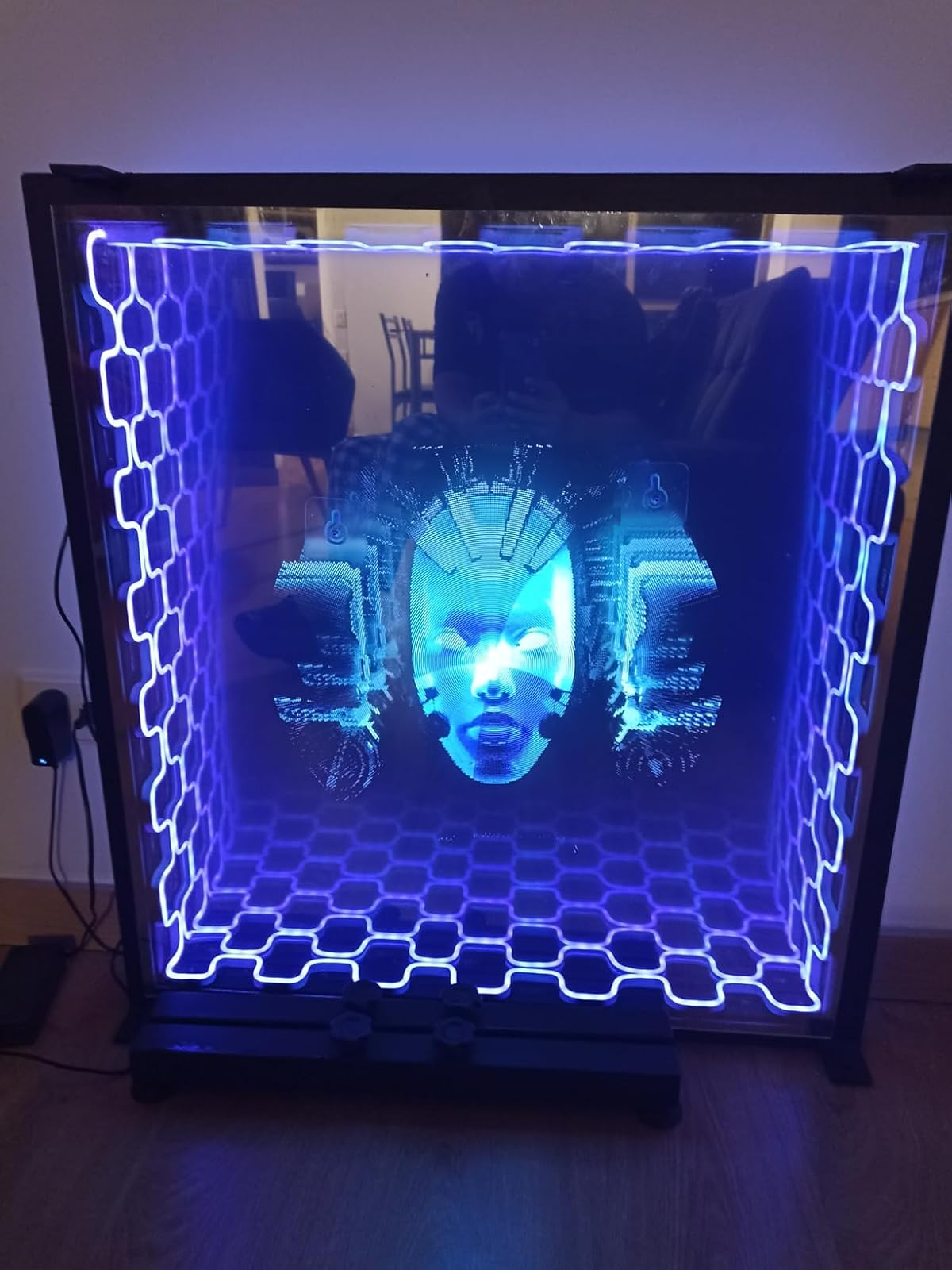 The HoloView Display