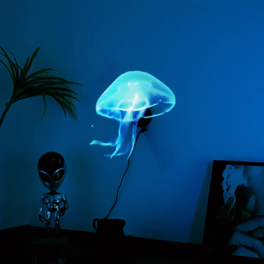 The HoloView Display